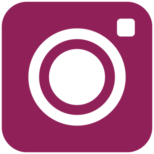 the Instagram logo, an outline of a camera
