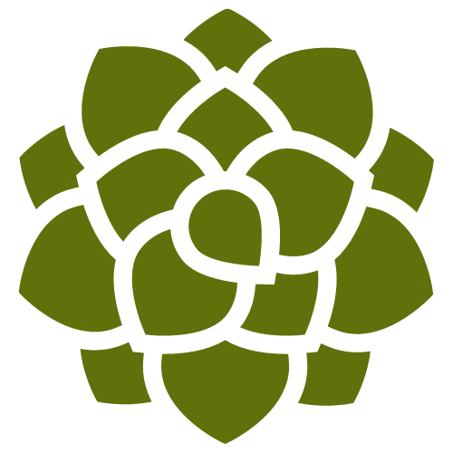 a logo depicting a green succulent with many leaves