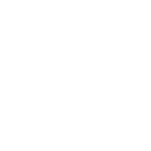 line drawing of a gear with a lightning bolt inside