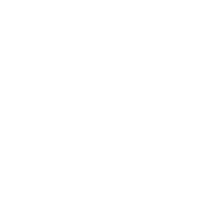 line graphic of a globe