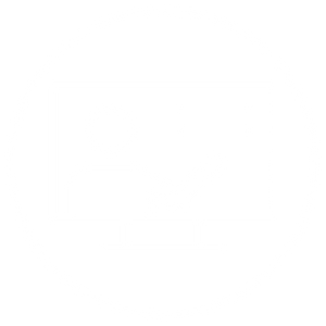 icon of a person giving a presentation on a computer